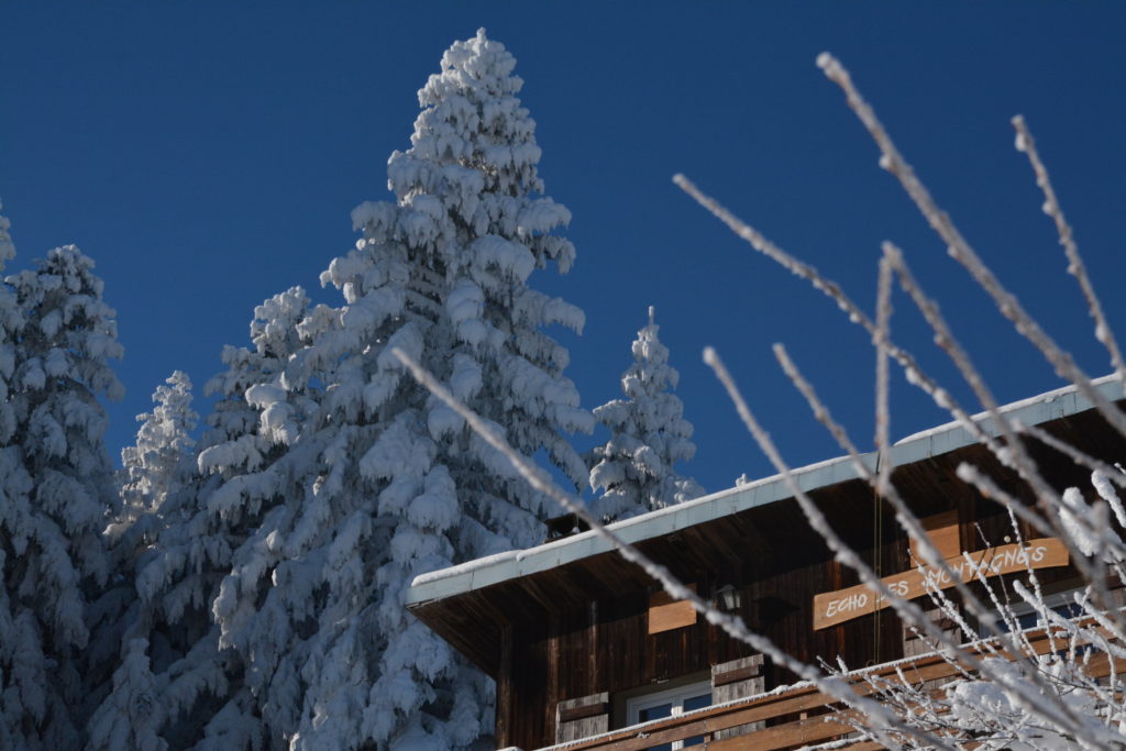 pistes de ski station de ski chalmazel